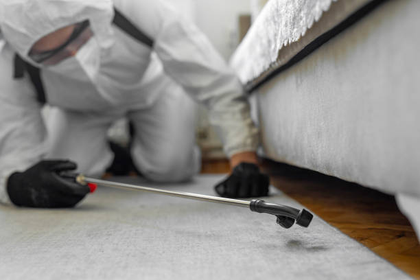 Professional Termite Control technician working in Heartland, TX